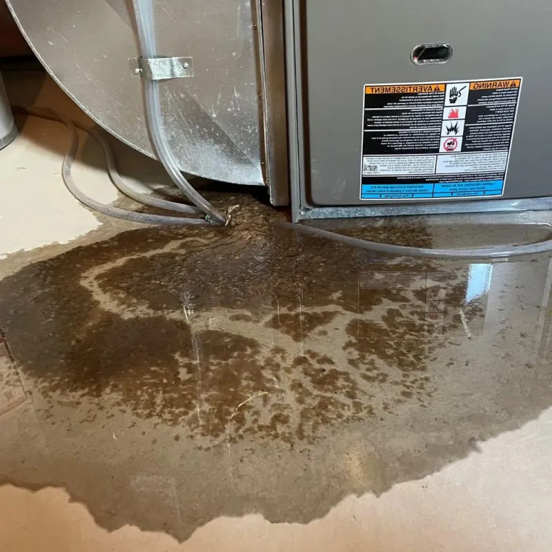 Pipe Burst and Leak Restoration in Russell, PA