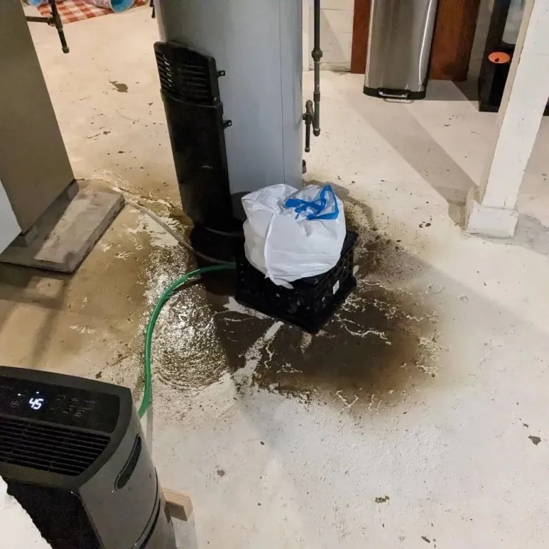 Sewage Backup Cleanup Service in Russell, PA